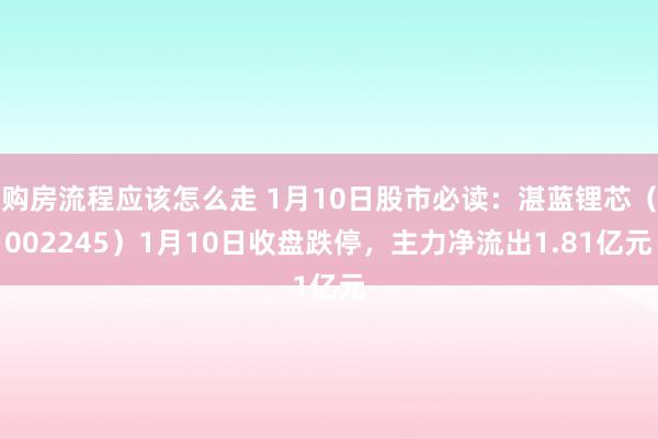 购房流程应该怎么走 1月10日股市必读：湛蓝锂芯（002245）1月10日收盘跌停，主力净流出1.81亿元