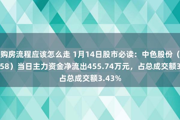 购房流程应该怎么走 1月14日股市必读：中色股份（000758）当日主力资金净流出455.74万元，占总成交额3.43%