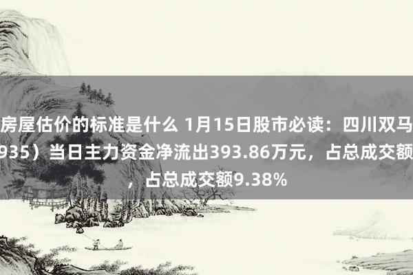 房屋估价的标准是什么 1月15日股市必读：四川双马（000935）当日主力资金净流出393.86万元，占总成交额9.38%