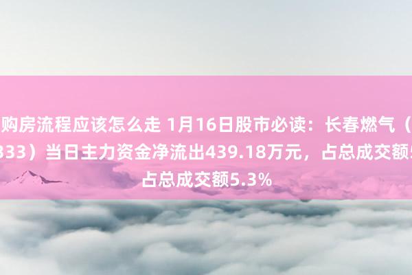 购房流程应该怎么走 1月16日股市必读：长春燃气（600333）当日主力资金净流出439.18万元，占总成交额5.3%