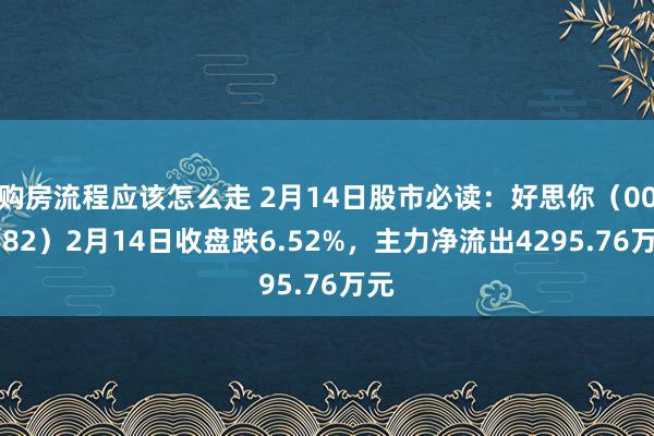 购房流程应该怎么走 2月14日股市必读：好思你（002582）2月14日收盘跌6.52%，主力净流出4295.76万元