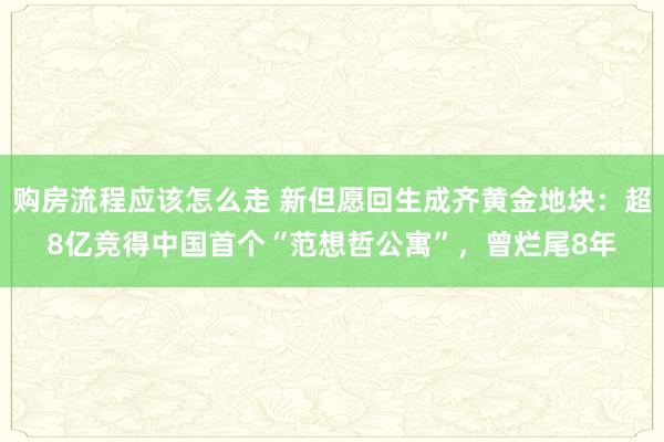 购房流程应该怎么走 新但愿回生成齐黄金地块：超8亿竞得中国首个“范想哲公寓”，曾烂尾8年