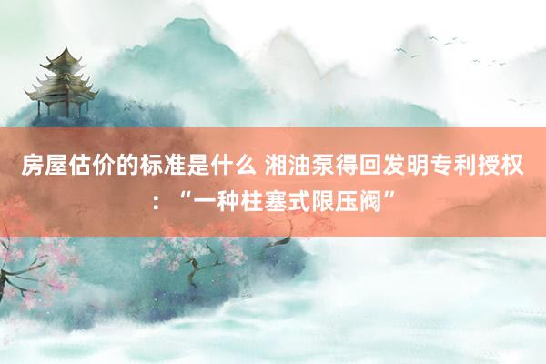 房屋估价的标准是什么 湘油泵得回发明专利授权：“一种柱塞式限压阀”