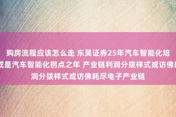 购房流程应该怎么走 东吴证券25年汽车智能化培训框架：25年或是汽车智能化拐点之年 产业链利润分拨样式或访佛耗尽电子产业链